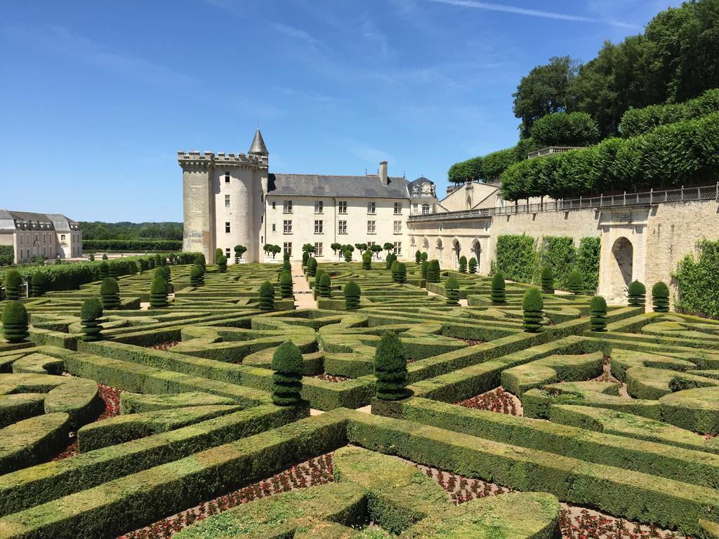 Loire Valley Medieval Getaway Рошекорбон Экстерьер фото